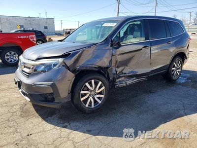 2019 HONDA PILOT EXL 5FNYF6H56KB051690 - główne zdjęcie licytacji z USA - miniatura