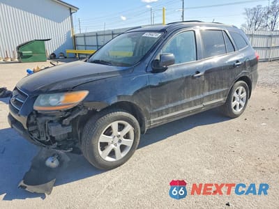 2009 HYUNDAI SANTA FE LIMITED 5NMSH13E09H241181 - główne zdjęcie licytacji z USA - miniatura
