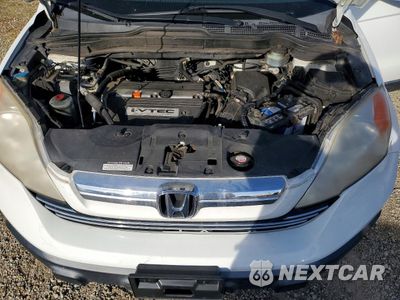 Zdjęcie 11 z 12 samochodu: 2007 HONDA CR-V EXL VIN:JHLRE48717C082155 - miniatura