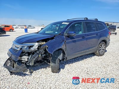2019 HONDA PILOT EXL 5FNYF5H56KB008171 - główne zdjęcie licytacji z USA - miniatura