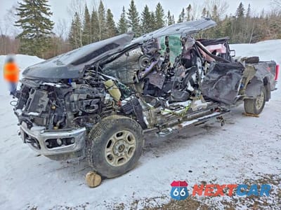 2025 FORD F250 SUPER DUTY 1FT7W2BT3SEC46109 - główne zdjęcie licytacji z USA - miniatura