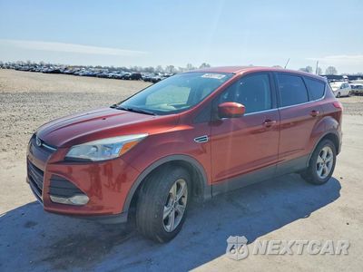 2014 FORD ESCAPE SE 1FMCU0G98EUA53935 - główne zdjęcie licytacji z USA - miniatura