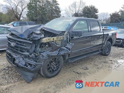 2024 FORD F150 XLT 1FTEW3LP3RKF54634 - główne zdjęcie licytacji z USA - miniatura