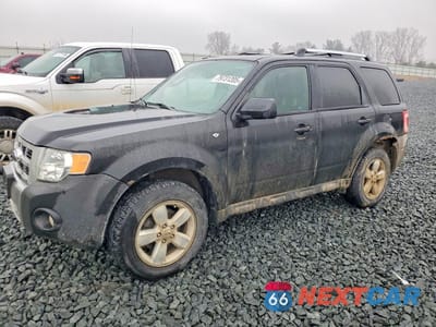 2011 FORD ESCAPE LIMITED 1FMCU9EG1BKB93127 - główne zdjęcie licytacji z USA - miniatura