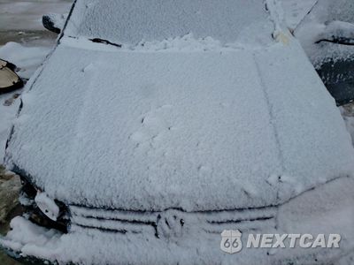 Zdjęcie 11 z 12 samochodu: 2004 VOLKSWAGEN GOLF GLS TDI VIN:9BWGR61J844022377 - miniatura