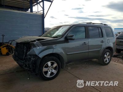 2009 HONDA PILOT EXL 5FNYF48519B021270 - główne zdjęcie licytacji z USA - miniatura
