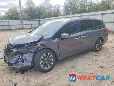 2024 HONDA ODYSSEY EXL 5FNRL6H69RB059525 - główne zdjęcie licytacji z USA - miniatura