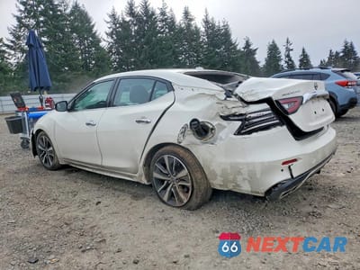 Drugie zdjęcie samochodu z przodu: 2023 NISSAN MAXIMA 3.5 SV VIN:1N4AA6CV1PC509234 - miniatura
