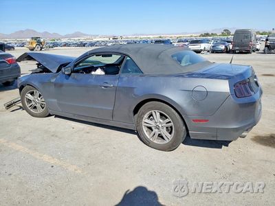Drugie zdjęcie samochodu z przodu: 2014 FORD MUSTANG VIN:1ZVBP8EM5E5289317 - miniatura
