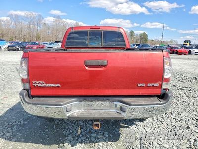 Zdjęcie 6 z 11 samochodu: 2009 TOYOTA TACOMA V6 VIN:5TEUU42N29Z600232 - miniatura