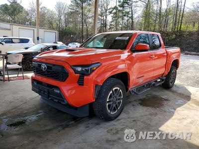 2024 TOYOTA TACOMA TRD SPORT 3TYKB5FN1RT006939 - główne zdjęcie licytacji z USA - miniatura