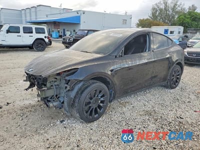 2024 TESLA MODEL Y 7SAYGDEE7RA214671 - główne zdjęcie licytacji z USA - miniatura