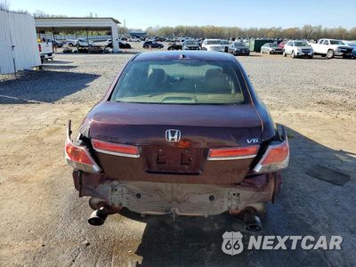 Zdjęcie 6 z 11 samochodu: 2011 HONDA ACCORD EXL VIN:1HGCP3F86BA001644 - miniatura