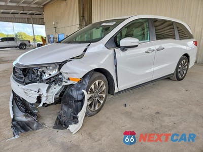 2024 HONDA ODYSSEY EXL 5FNRL6H65RB015053 - główne zdjęcie licytacji z USA - miniatura