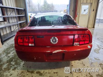 Zdjęcie 6 z 12 samochodu: 2008 FORD MUSTANG VIN:1ZVHT80N885106406 - miniatura