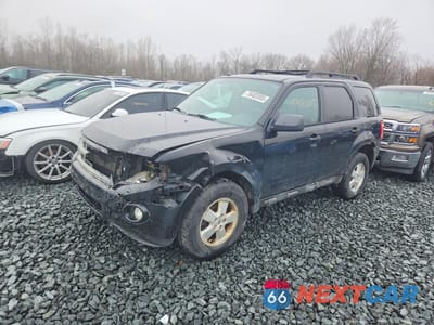 2012 FORD ESCAPE XLT 1FMCU0D70CKC80600 - główne zdjęcie licytacji z USA - miniatura