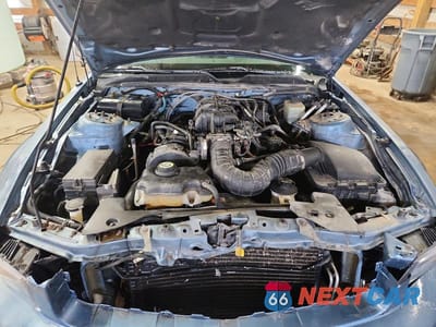 Zdjęcie 11 z 12 samochodu: 2005 FORD MUSTANG VIN:1ZVFT80N455208594 - miniatura
