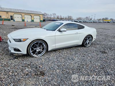 2016 FORD MUSTANG 1FA6P8TH6G5229663 - główne zdjęcie licytacji z USA - miniatura