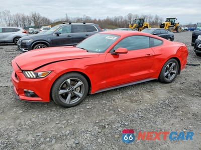 2015 FORD MUSTANG 1FA6P8AM6F5324383 - główne zdjęcie licytacji z USA - miniatura