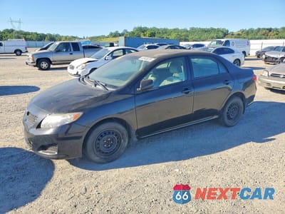 2010 TOYOTA COROLLA LE 1NXBU4EE5AZ362209 - główne zdjęcie licytacji z USA - miniatura