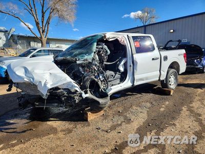 2024 FORD F150 XL 1FTEW1LP5RKE97082 - główne zdjęcie licytacji z USA - miniatura