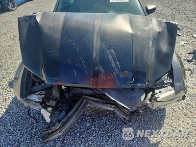 Zdjęcie 11 z 14 samochodu: 2014 FORD MUSTANG VIN:1ZVBP8AM8E5334076 - miniatura