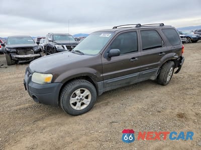 2007 FORD ESCAPE XLT 1FMYU93107KA38600 - główne zdjęcie licytacji z USA - miniatura