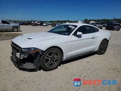2019 FORD MUSTANG 1FA6P8TH7K5172561 - główne zdjęcie licytacji z USA - miniatura