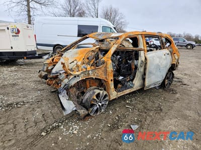 2023 TOYOTA HIGHLANDER XLE 5TDKDRBH9PS024230 - główne zdjęcie licytacji z USA - miniatura