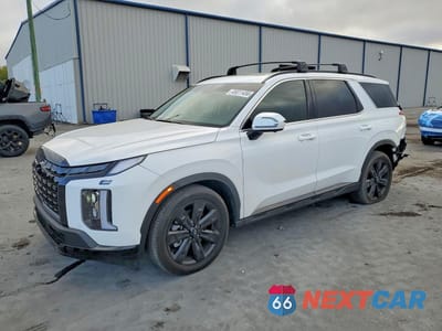 2025 HYUNDAI PALISADE XRT KM8R34GE1SU915759 - główne zdjęcie licytacji z USA - miniatura