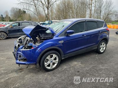 2013 FORD ESCAPE SE 1FMCU9GX9DUB97835 - główne zdjęcie licytacji z USA - miniatura