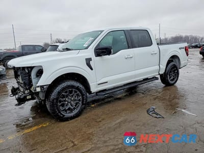 2024 FORD F150 XLT 1FTFW3LD8RFB93372 - główne zdjęcie licytacji z USA - miniatura