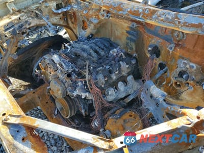 Zdjęcie 11 z 11 samochodu: 2019 CHEVROLET SILVERADO K1500 TRAIL BOSS CUSTOM VIN:3GCPYCEH6KG132542 - miniatura