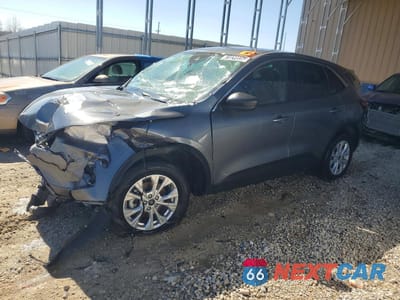2024 FORD ESCAPE ACTIVE 1FMCU0GN9RUA72707 - główne zdjęcie licytacji z USA - miniatura