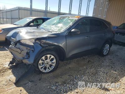 2024 FORD ESCAPE ACTIVE 1FMCU0GN9RUA72707 - główne zdjęcie licytacji z USA - miniatura