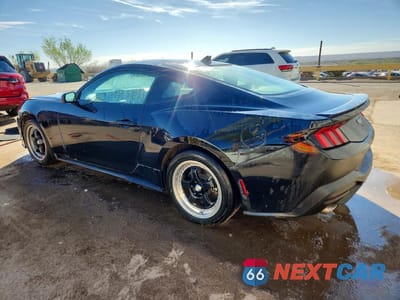 Drugie zdjęcie samochodu z przodu: 2024 FORD MUSTANG VIN:1FA6P8TH5R5120792 - miniatura
