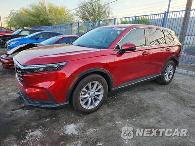 2024 HONDA CR-V EXL 2HKRS3H73RH300992 - główne zdjęcie licytacji z USA - miniatura