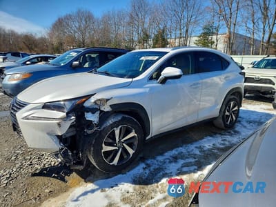 2019 LEXUS NX 300 JTJBARBZ7K2199235 - główne zdjęcie licytacji z USA - miniatura