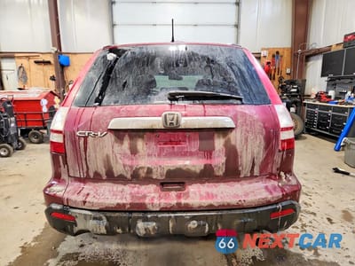 Zdjęcie 6 z 13 samochodu: 2009 HONDA CR-V EXL VIN:5J6RE487X9L805415 - miniatura