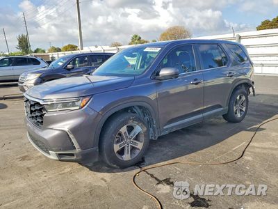 2023 HONDA PILOT EXL 5FNYG1H49PB050614 - główne zdjęcie licytacji z USA - miniatura