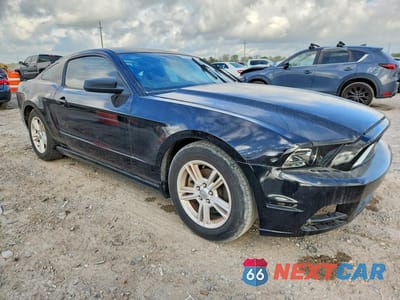 Czwarte zdjęcie samochodu z boku: 2013 FORD MUSTANG VIN:1ZVBP8AM4D5275963 - miniatura