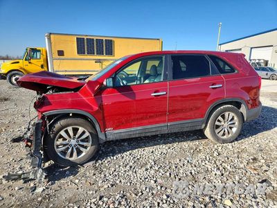 2011 KIA SORENTO EX 5XYKUDA26BG014907 - główne zdjęcie licytacji z USA - miniatura
