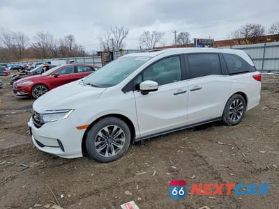 2024 HONDA ODYSSEY 5FNRL6H6XRB048307 - główne zdjęcie licytacji z USA - miniatura