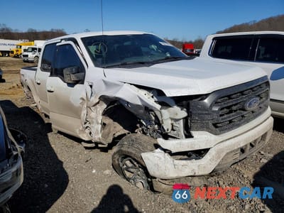 Czwarte zdjęcie samochodu z boku: 2021 FORD F150 SUPERCREW VIN:1FTEW1EP7MKD45424 - miniatura