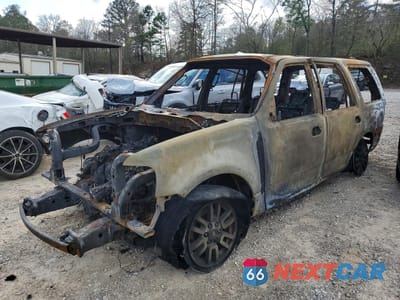 2008 FORD EXPEDITION EDDIE BAUER 1FMFU17518LA79481 - główne zdjęcie licytacji z USA - miniatura