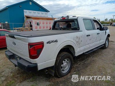 Trzecie zdjęcie samochodu z tyłu: 2024 FORD F150 XL VIN:1FTFW1L82RKE49018 - miniatura