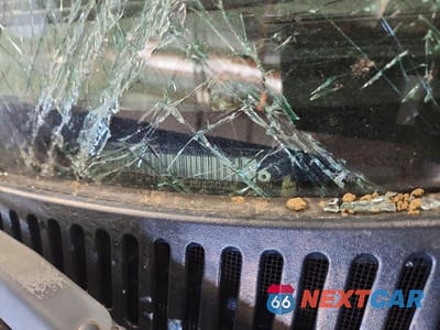 Zdjęcie 12 z 12 samochodu: 2004 CHEVROLET SILVERADO K1500 VIN:1GCEK19T74E104707 - miniatura