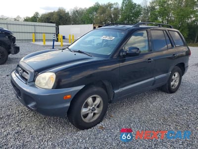 2005 HYUNDAI SANTA FE GLS KM8SC13D65U931196 - główne zdjęcie licytacji z USA - miniatura