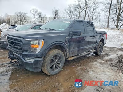 2021 FORD F150 SUPERCREW 1FTFW1E88MFA65601 - główne zdjęcie licytacji z USA - miniatura