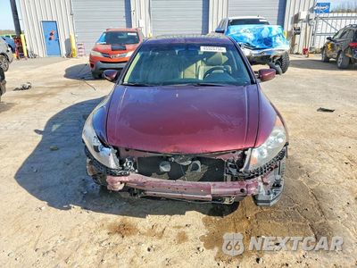 Piąte zdjęcie samochodu w środku: 2011 HONDA ACCORD EXL VIN:1HGCP3F86BA001644 - miniatura